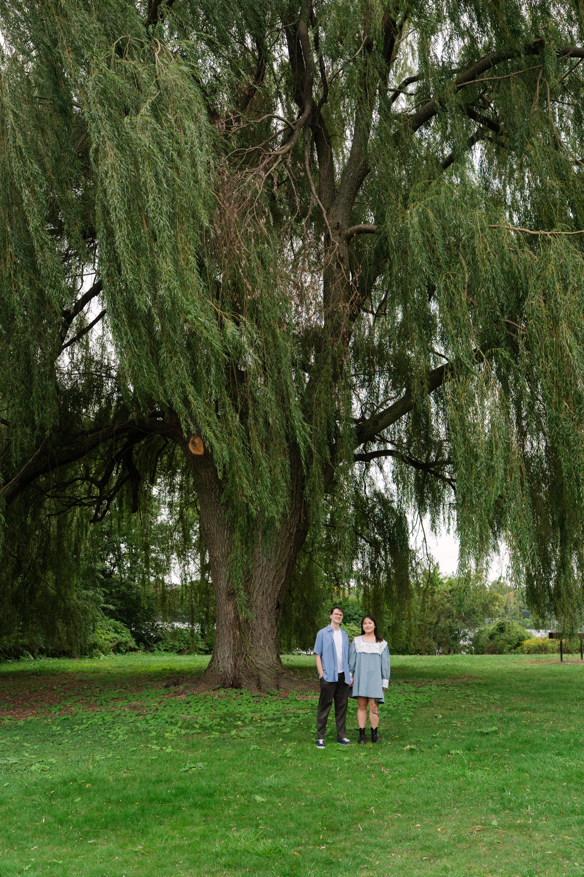 Angela and Sean standing together beneath a willow tree
